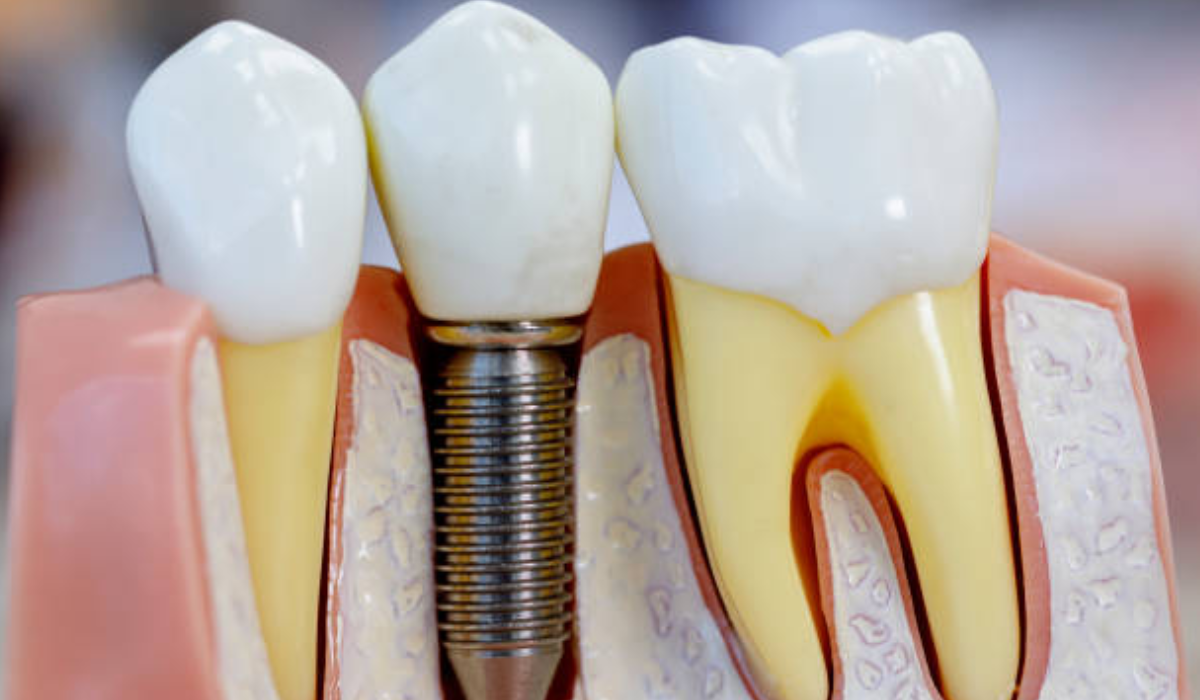 Orthodontist in Whitefield