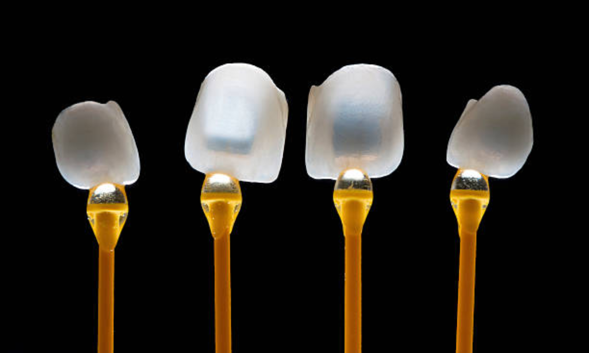 orthodontist in whitefield